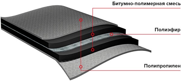 GL PLUS+текст